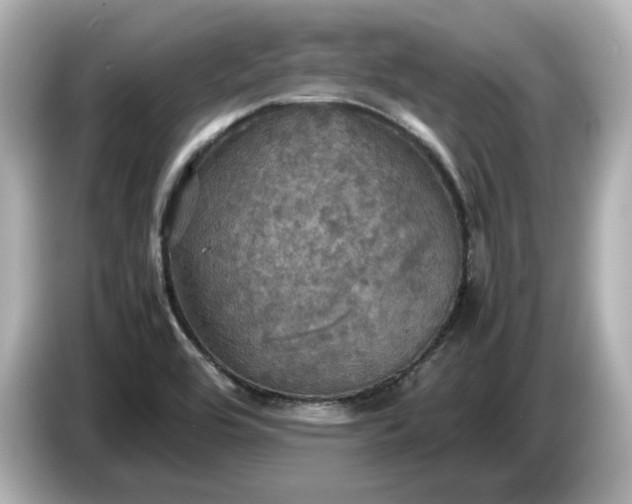 X0000087011464200704301408