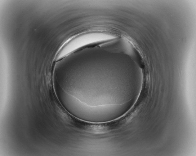 X0000087011465200704301408