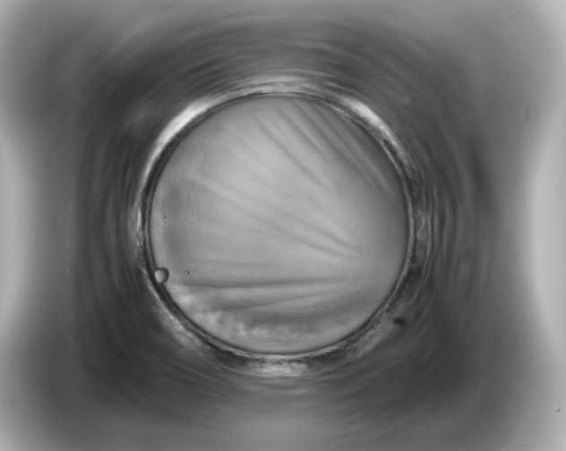 X0000087011466200704301408