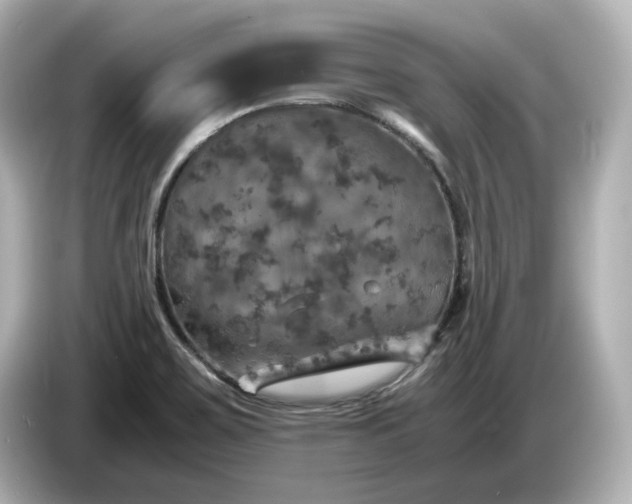 X0000087011467200704301408