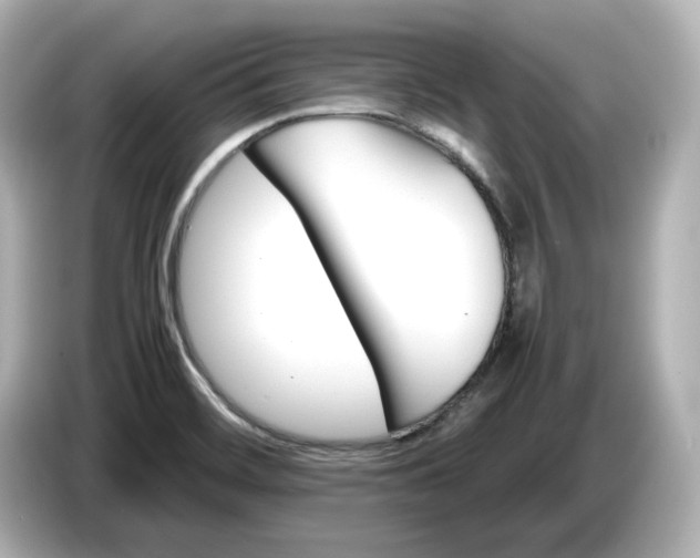 X0000087011468200704301408