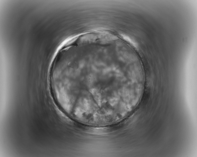 X0000087011471200704301408
