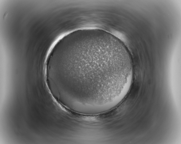 X0000087011472200704301408