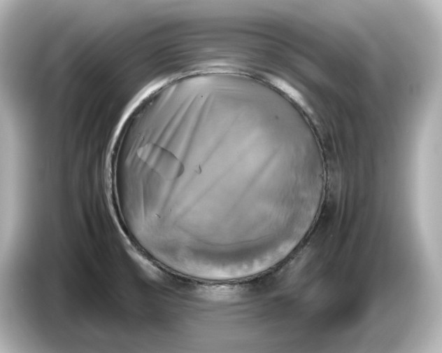 X0000087011474200704301408