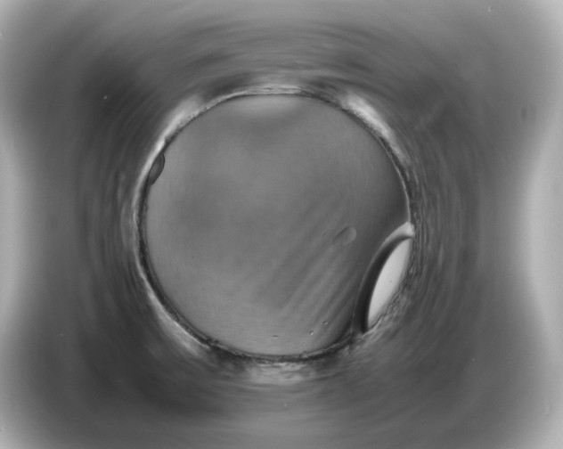 X0000087011475200704301408