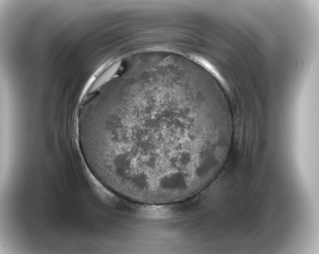 X0000087011476200704301408