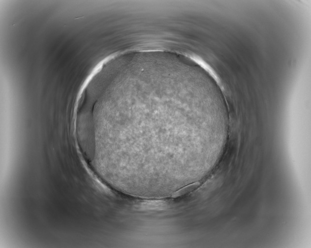 X0000087011477200704301408