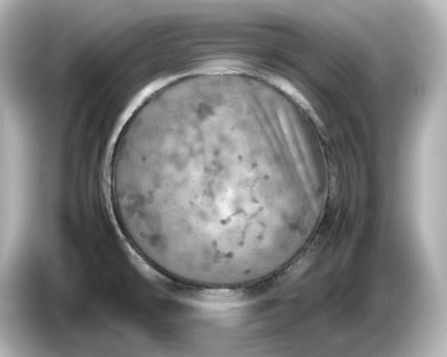 X0000087011478200704301408