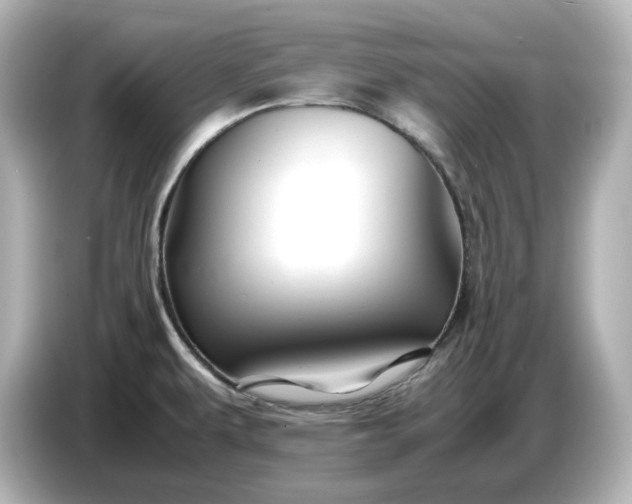 X0000087011479200704301408