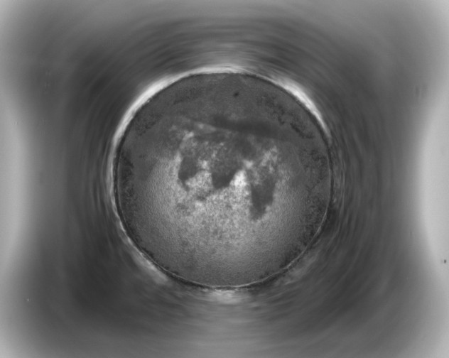 X0000087011480200704301408