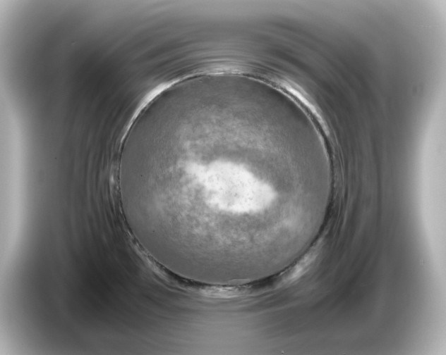 X0000087011481200704301408