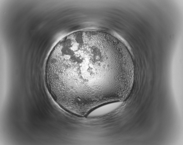 X0000087011483200704301408