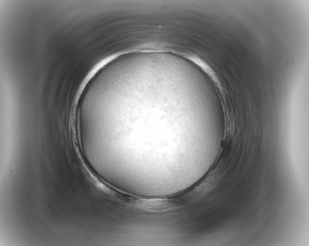 X0000087011486200704301408