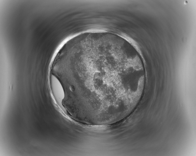 X0000087011488200704301408