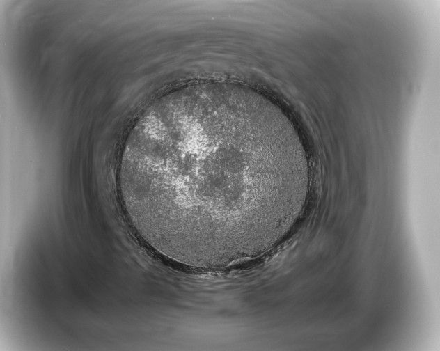 X0000087011489200704301407