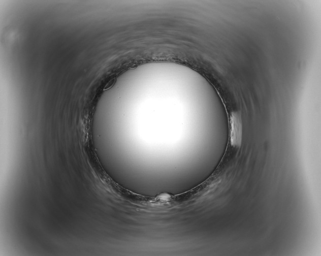X0000087011491200704301407