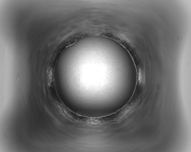X0000087011492200704301407