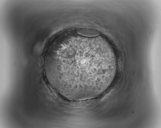 X0000087011494200704301407