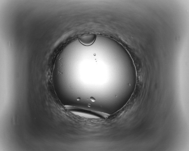 X0000087011495200704301407