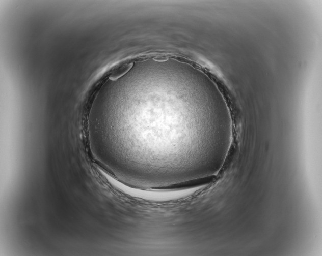 X0000087011496200704301407