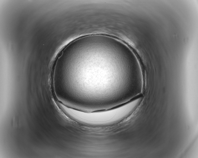 X0000087011500200704301407