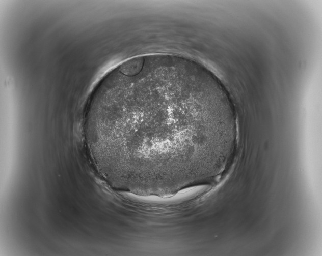 X0000087011501200704301407