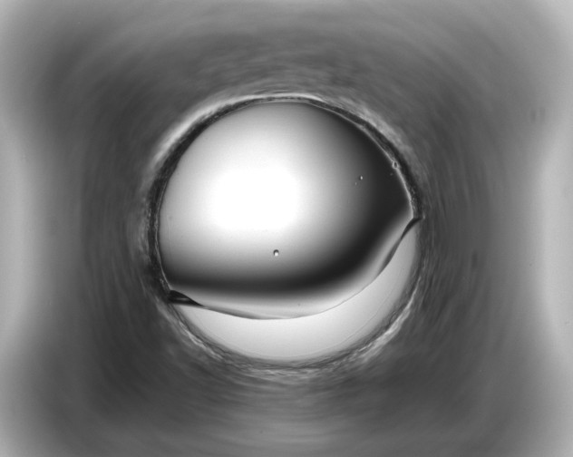 X0000087011502200704301407