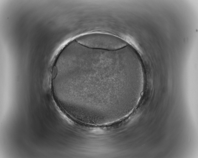 X0000087011504200704301407