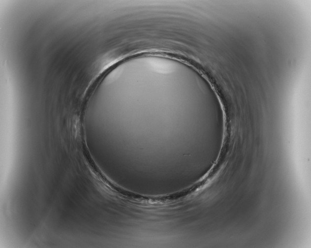 X0000087011505200704301407
