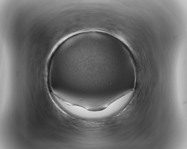 X0000087011508200704301407