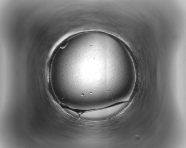 X0000087011510200704301407