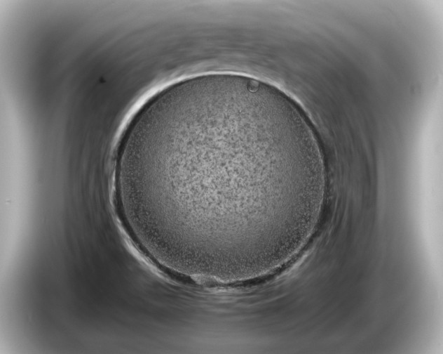 X0000087011511200704301407