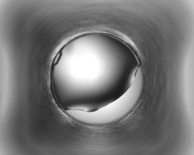 X0000087011512200704301407