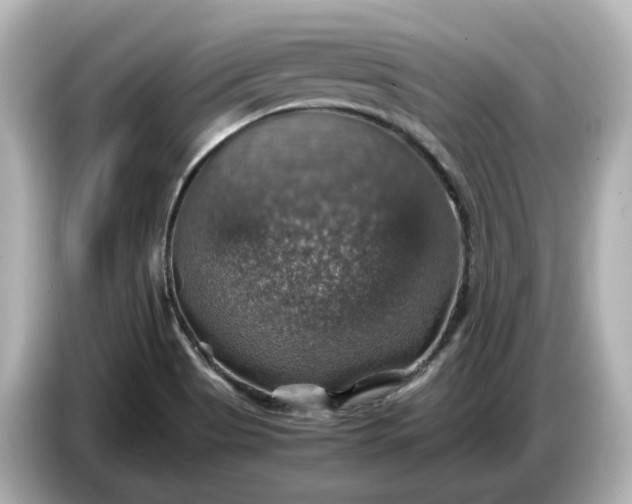 X0000087011513200704301407