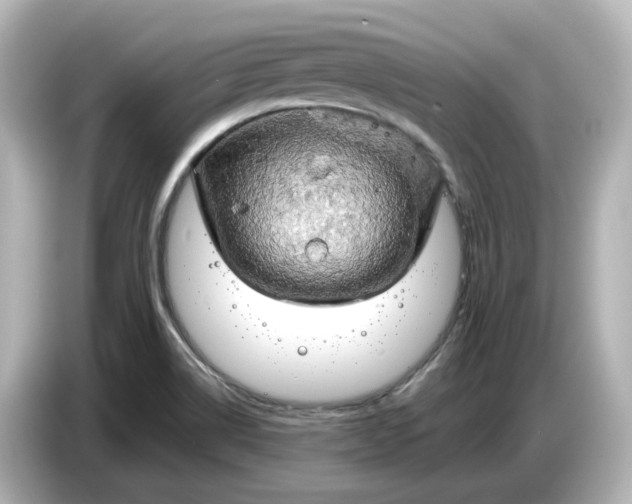 X0000087011514200704301407