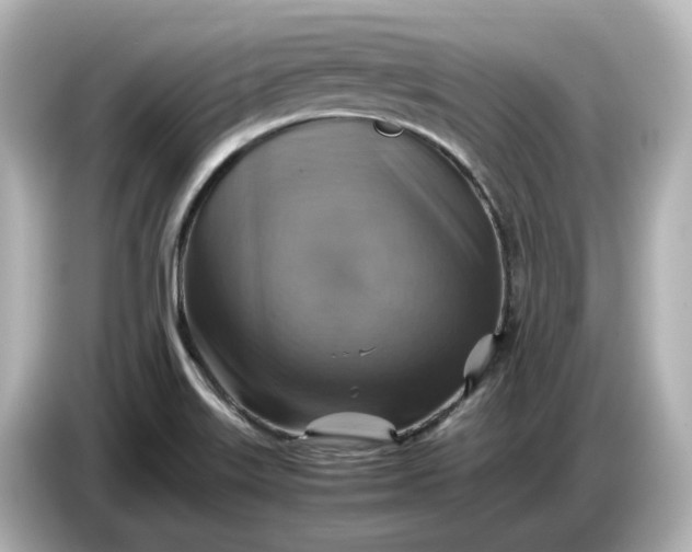 X0000087011515200704301407