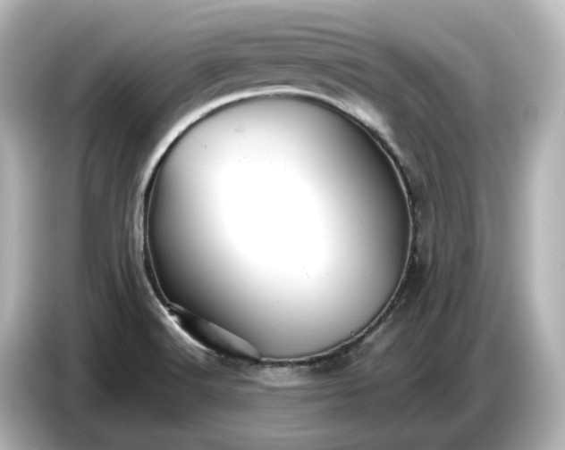 X0000087011516200704301407