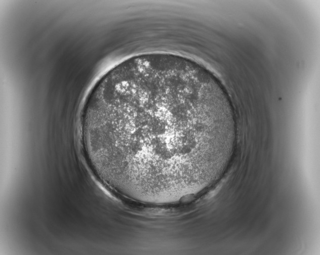X0000087011517200704301407