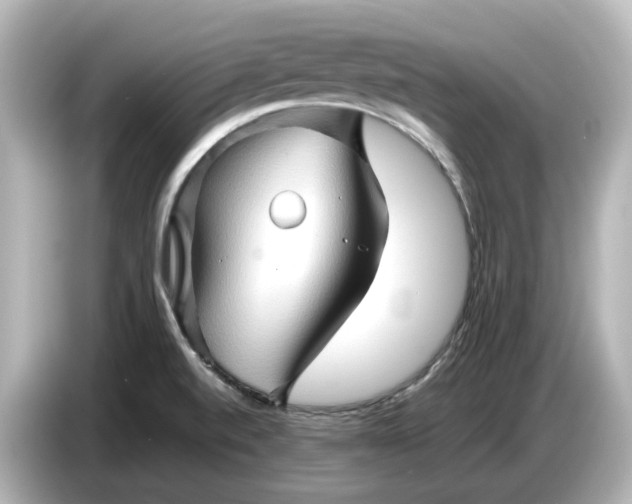 X0000087011520200704301407