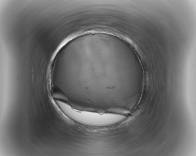 X0000087011522200704301407