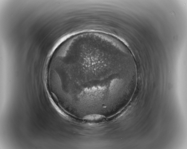 X0000087011523200704301407