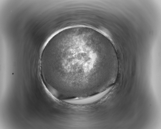 X0000087011524200704301407