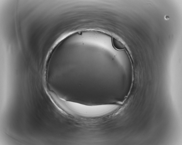 X0000087011525200704301407