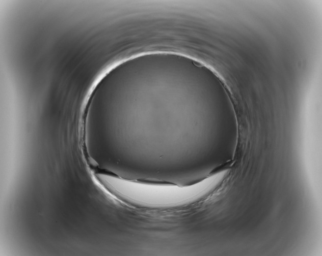 X0000087011527200704301407