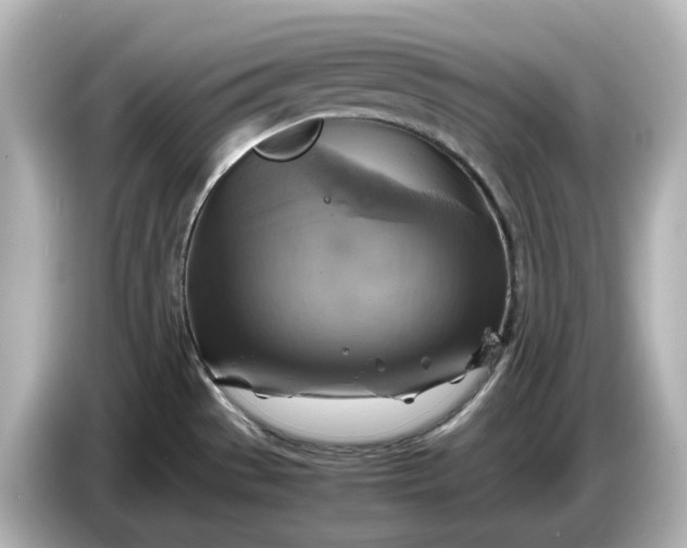 X0000087011529200704301407