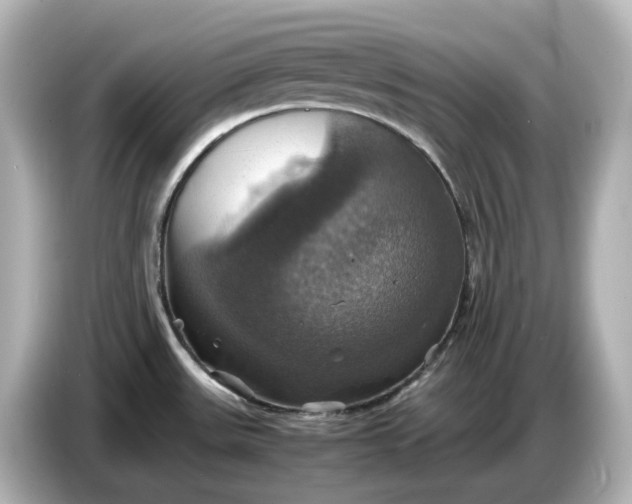 X0000087011531200704301407