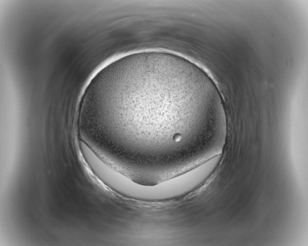 X0000087011534200704301407