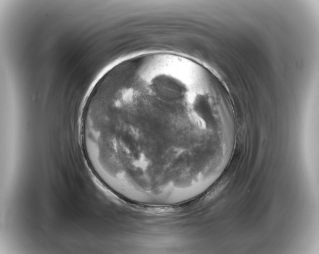 X0000087011535200704301408