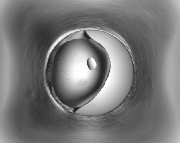 X0000087011536200704301408