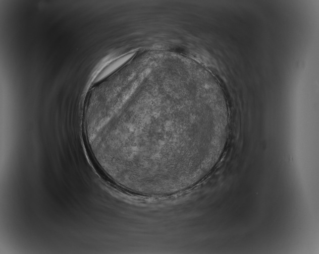 X0000087010003200705071535